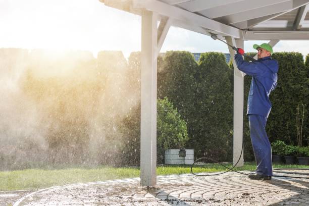 Best Window and Screen Pressure Cleaning in Newport News, VA